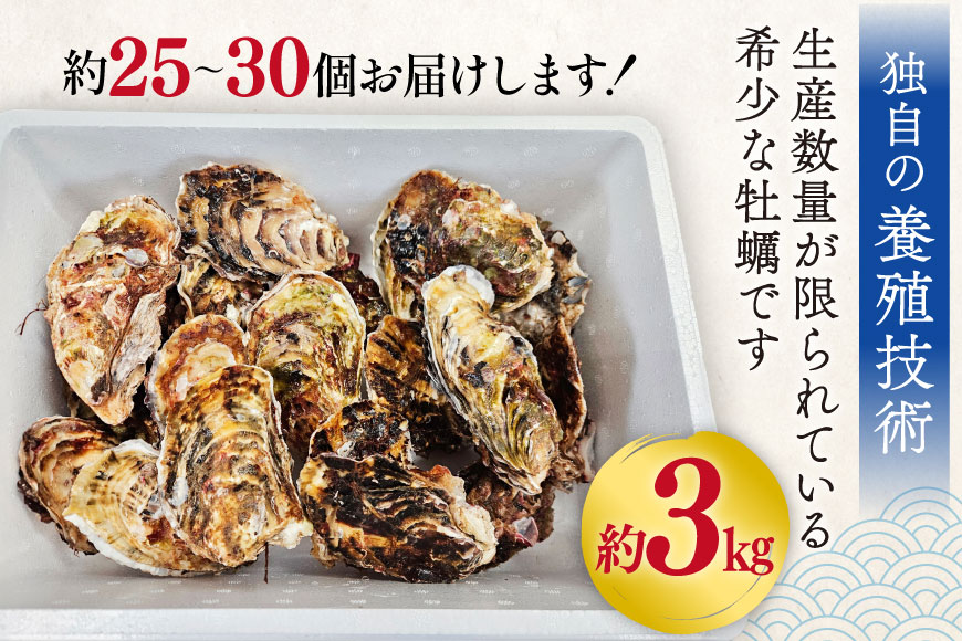 【期間限定発送】 牡蠣 小粒 1〜1年半モノ 生食 殻付き牡蠣 約3kg (約25〜30個入) [住喜水産 宮城県 気仙沼市 20565054] 冷蔵 新鮮 濃厚 真牡蠣 カキ かき 生牡蠣 魚貝類 