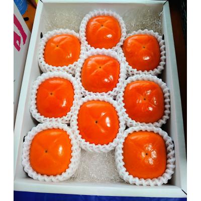ふるさと納税 紀の川市 紀の川柿2kg(2025年10月発送予定)