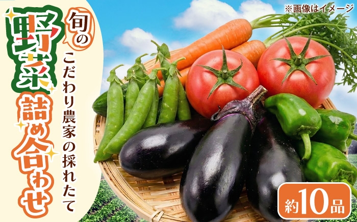 
                  野菜 こだわり農家の採れたて野菜セット / 季節野菜 やさい 野菜 ベジタブル ほうれん草 小松菜 白菜 大根 大阪府 特産品 / 大阪府藤井寺市/農事組合法人農園たかはし [BLCF001]
                