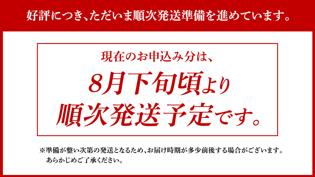 新宿 中村屋 レトルト 食べ比べ セット ( Bセット 17種 ) 人気 詰合せ 洋食 時短 カレー インドカレー ビーフカレー 欧風カレー 数量限定 贈答品 保存用 ストック用 非常用 老舗 レンチ