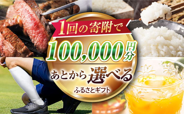
【あとから選べる】江北町ふるさとギフト 寄附金額 10万円分【佐賀県江北町】 [HZZ004]
