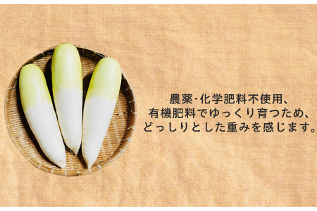 【フードロス対応・規格外】　有機大根　訳あり野菜を簡易包装にして増量　旬の時期（12月、1月、2月）のみ冬季限定発送 2141 だいこん　大根
