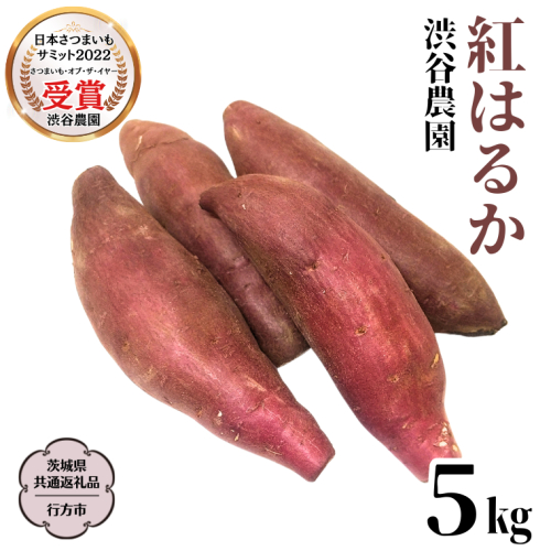 2025年度産 紅はるか 約5kg 【茨城県共通返礼品／行方市】 渋谷農園 さつまいも いも 芋 焼芋 [DT001sa]
