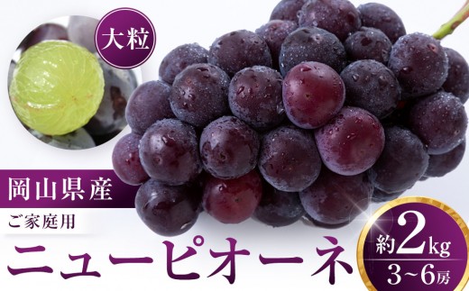 ニューピオーネ 2kg 3～6房（ご家庭用）【限定数800セット】岡山 ピオーネ 大粒 ぶどう 葡萄 果物 フルーツ 甘い おいしい 人気 おすすめ 岡山県