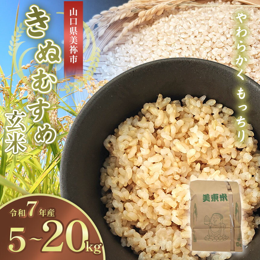 【ふるさと納税】 令和7年度産 新米 きぬむすめ ( 玄米 5kg ~ 20kg ) 先行予約 ＜ 2025年9月中旬より順次発送予定 ＞ ｜ 米 精米 新米 玄米 米 雑穀 お米 コメ 単一米 きぬむすめ 絹娘 山口 美祢 秋吉台 5kg 10kg 15kg 20kg