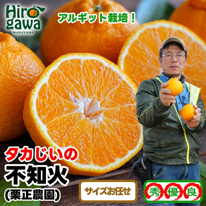 【ふるさと納税】 タカじいの 不知火 ( しらぬい ） / デコポン 甘い 和歌山 有田 柑橘 3kg 5kg ※3月上旬〜3月下旬に順次発送 //dekopon