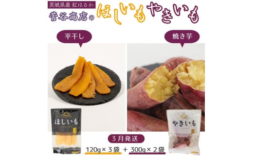 《2026年3月発送》茨城「菅谷商店」の 紅はるか 干し芋 & 焼き芋 セット （ ほしいも 120g×3袋 / やきいも 300g × 2袋 ） 干しいも 平干し 天日干し　焼きいも