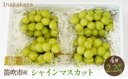 【2026年発送★先行予約】Inakakara厳選！笛吹市産シャインマスカット4~5房（約2.5~2.6kg） 192-017-26y
