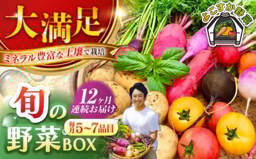 【全12回定期便】すずなり採れたて野菜BOX（5～7品目）野菜セット 詰め合わせ 季節野菜 やさい 産地直送 旬 新鮮 横須賀【鈴也ファーム】 [AKCE004]