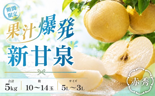 
                  【期間限定】鳥取県産 新甘泉 “赤秀” 5kg（10〜14玉/5L～3Lサイズ）
                