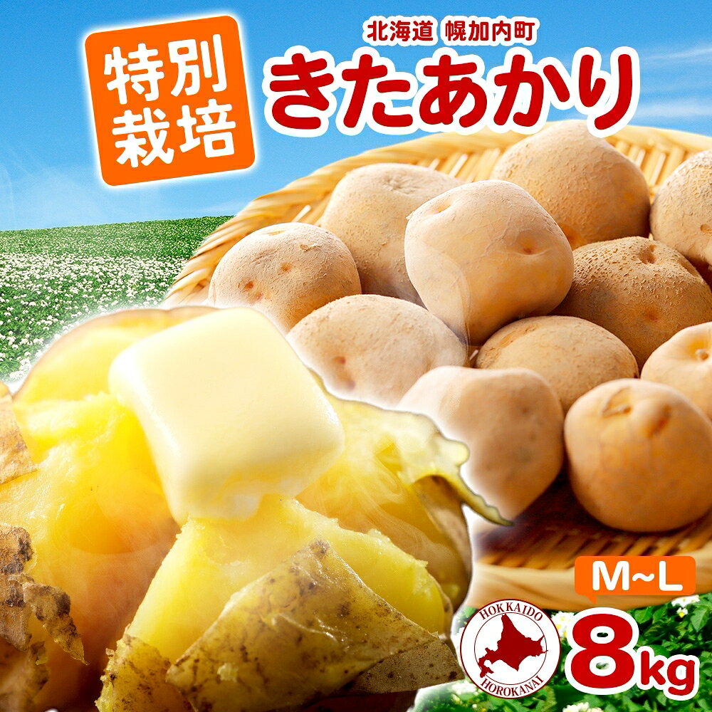 【ふるさと納税】＜2026年秋以降出荷＞ 北海道 特別栽培 じゃがいも きたあかり M～L 約 8kg ジャガイモ 馬鈴薯 芋 イモ ポテト 野菜 旬 北海道産 国産 生 冬野菜 農作物 8キロ お取り寄せ 産地直送 畑農場 送料無料 　お届け：2026年10月～2027年1月末頃