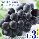 【ふるさと納税】 岡山県産 選べる つる付きニューピオーネ 2房 580g以上3房 580g以上 1房 680g以上 露地栽培 葡萄 果物 厳選出荷 スイーツ フルーツ デザート 岡山県矢掛町《9月上旬-10月末頃に出荷予定(土日祝除く)》 種なしぶどう 【配送不可地域あり】