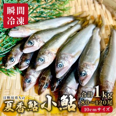 ふるさと納税 日吉津村 日野川育ちの「夏香鮎」小鮎(約10cm)瞬間冷凍 1kg