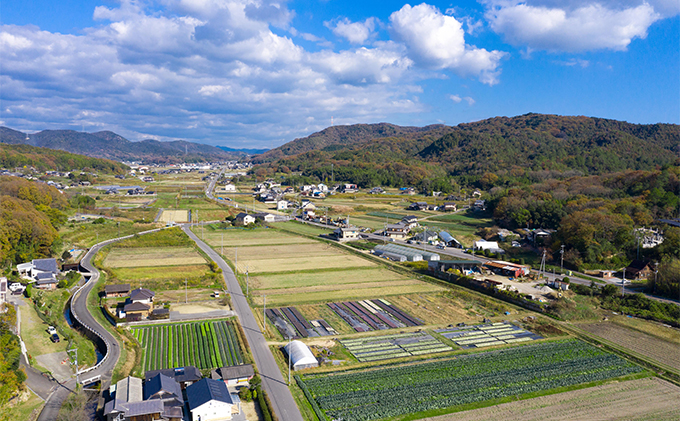 甘味に自信あり！彩り 野菜 BOX（7種類）【配達不可：北海道・沖縄・離島】