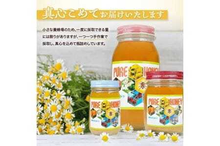 山形県遊佐町産 純粋はちみつ 180g 百花蜂蜜 生はちみつ 国産 天然 ナチュラル ピュア ハニー 日本製 健康 非常食 升川ハチミツ 遊佐町 庄内 東北 [1017]