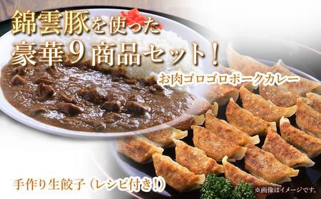 お米育ちの錦雲豚バラエティギフト ハム類・餃子・ハンバーグ・カレー セット | お肉 肉 おにく 豚肉 錦雲豚 ブランド豚 ハム 餃子 ハンバーグ カレー 詰め合わせ 惣菜 九州産 大分県産 国産 冷