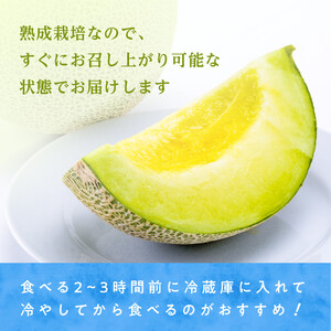 【2026年8月～発送】 アールスメロン 1個 約1.5kg～2kg マスクメロン