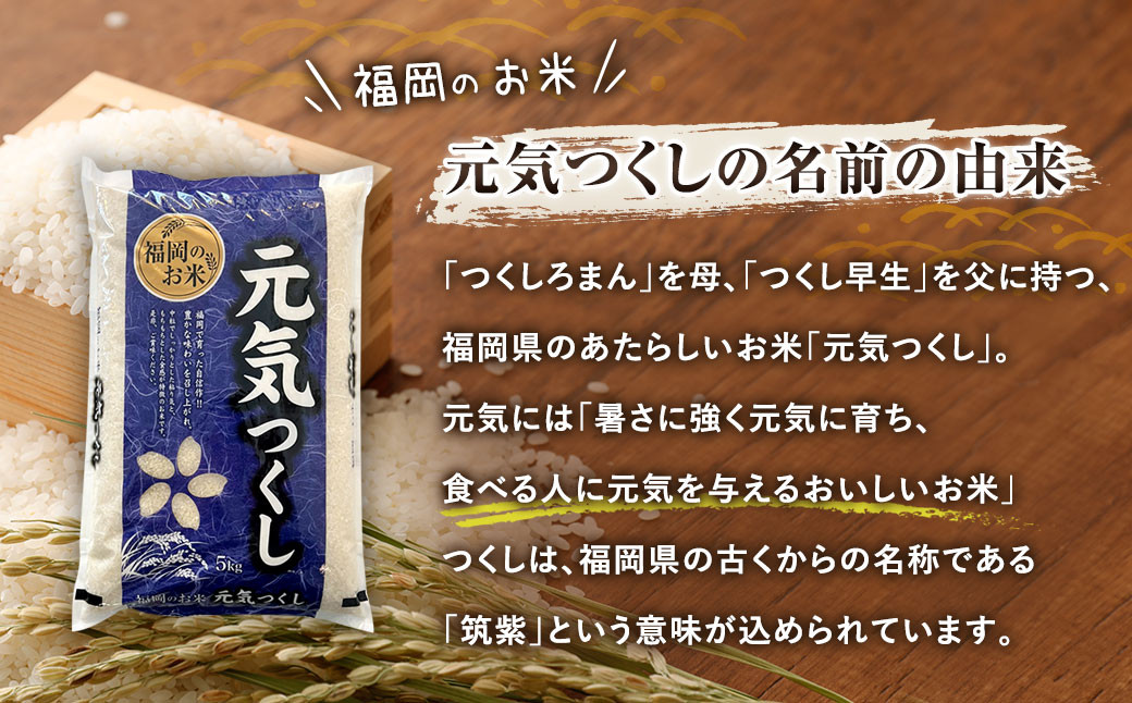元気つくし 15kg 米 福岡 お米 こめ コメ 国産 九州