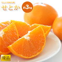 【ふるさと納税】【2月中旬から発送】 せとか ＜ 優品 ＞ 約 3kg L~3L 10~15玉 | 先行予約 柑橘 愛媛 みかん 果物 くだもの フルーツ お楽しみ お取り寄せ グルメ 期間限定 数量限定 人気 おすすめ ギフト 愛媛県 松山市