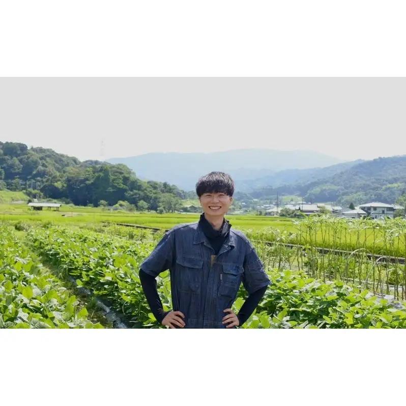 【令和9年1月より順次出荷】京都府産　干し芋(紅はるか) 150g×3袋　さつまいも サツマイモ 紅はるか ねっとり 自家栽培 宮津市 京都府　栽培期間中農薬・化学肥料・除草剤不使用 myz11 my
