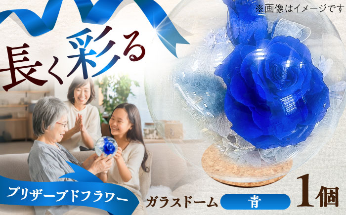 プリザーブドフラワー　ガラスドーム (青) / 花 プレゼント 贈答用 ガラス 母の日 父の日 入学式 卒業式 菊陽町 熊本県【株式会社 美向】 [BHDC002]
