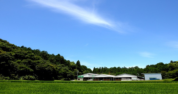 SS-74　松阪牛上ロースすじ  900ｇ_イメージ5