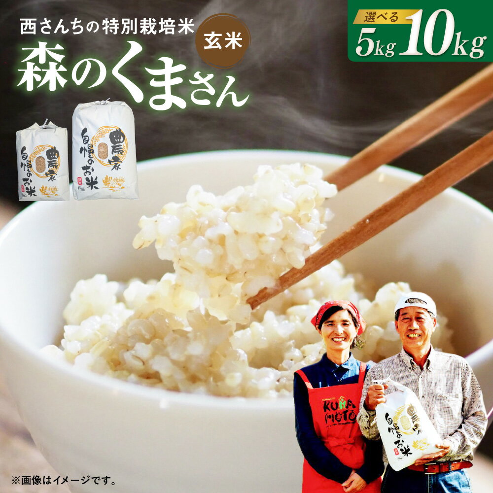 【ふるさと納税】＜選べる内容量＞西さんちの特別栽培米 森のくまさん 玄米 5kg / 10kg お米 こめ 単一原料米 令和7年産 ごはん ご飯 熊本県産 国産 九州 熊本県 あさぎり町 送料無料 【2025年10月下旬～2026年4月下旬迄順次発送予定】