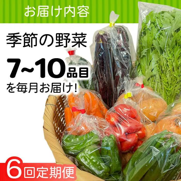 【6回定期便】直売所より発送！季節の野菜セット 7?10品目 / 野菜定期便 / ながさき南部生産組合 [SBW004]