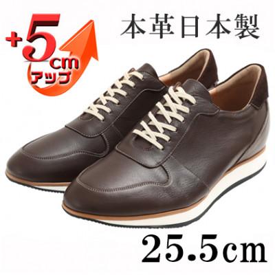 ふるさと納税 大和郡山市 スニーカー 本革紐タイプ 5cmアップシークレットシューズ No.801 ブラウン 25.5cm