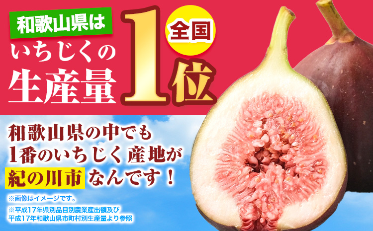 いちじく完熟いちじく約600g(300g×2パック)お試しパックいちじく無花果JAわかやま 紀の里地域本部《2026年9月上旬-11月上旬頃出荷》青果物---wsk_cjak24_9j11j_24_7