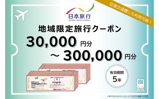 
                  香川県 丸亀市 日本旅行 地域限定旅行クーポン15,000円～300,000円分 旅行 トラベル クーポン ホテル 旅館 宿泊 観光 体験 グルメ レジャー 
                