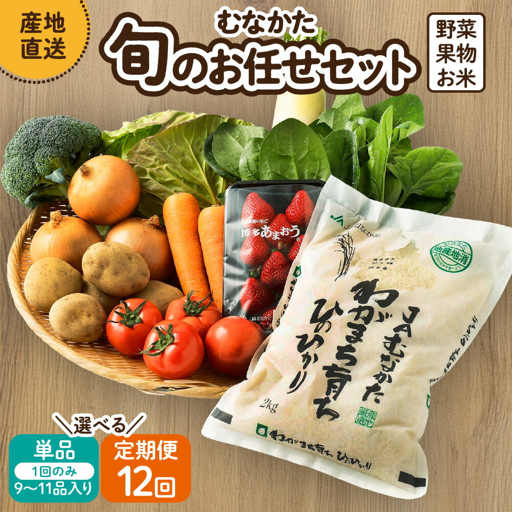 【ふるさと納税】【レビューCP対象】むなかた旬のお任せセット(野菜・フルーツ・お米／9〜11品)【1回お届け／定期便（年12回）】【ほたるの里】　送料無料