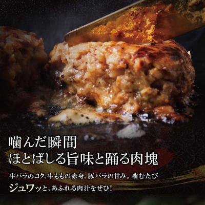 ふるさと納税 福智町 極生ハンバーグ 5個セット(150g×5) |  | 02