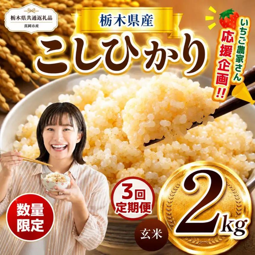 【定期3回】令和8年度 栃木県産こしひかり（玄米）約2kg 