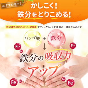 豊潤サジー 1000ml×5本セット サジージュース【紙パックタイプ】 鉄 鉄分 果実