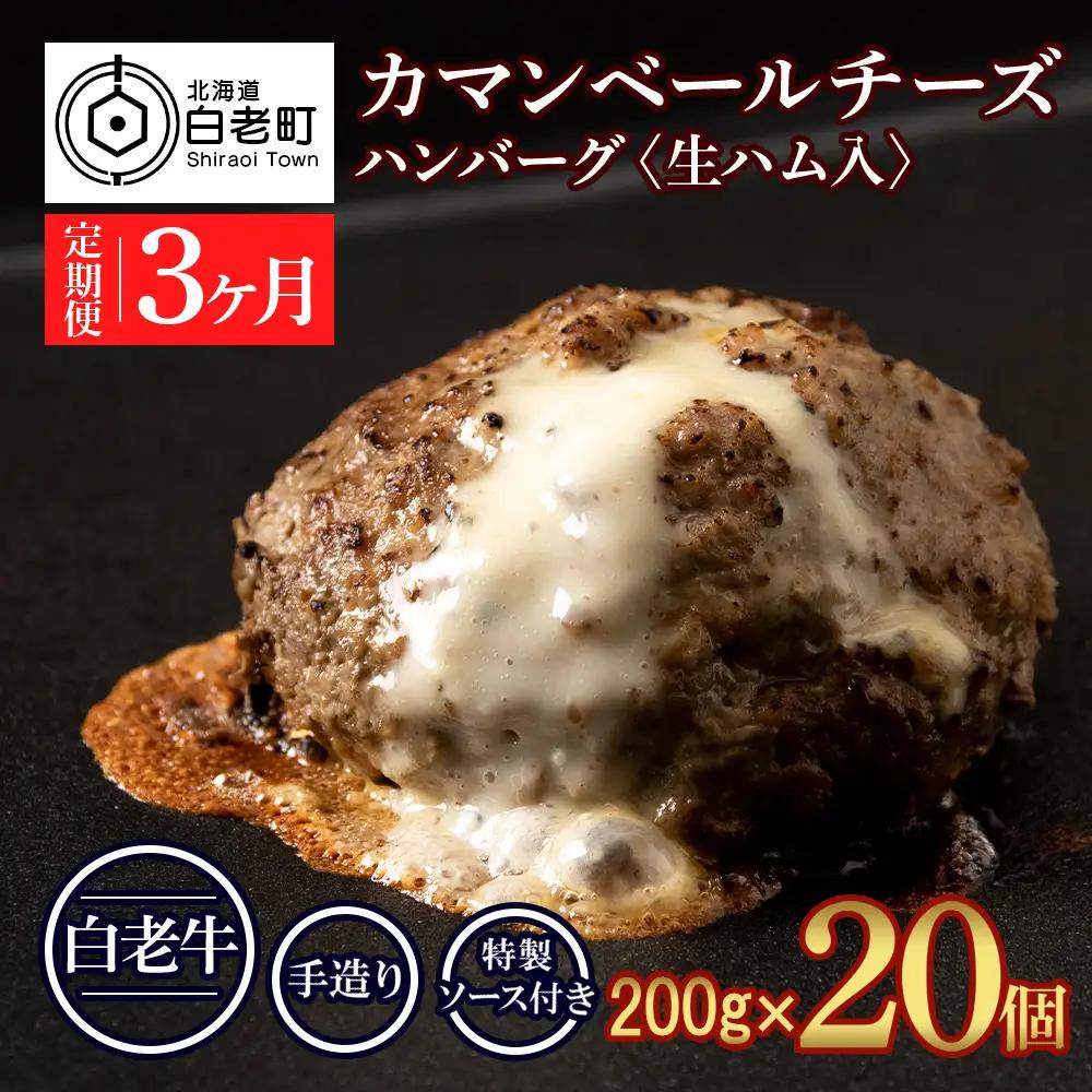 定期便３ヵ月 お楽しみ 北海道産 白老牛 カマンベールチーズハンバーグ 20個セット BY118