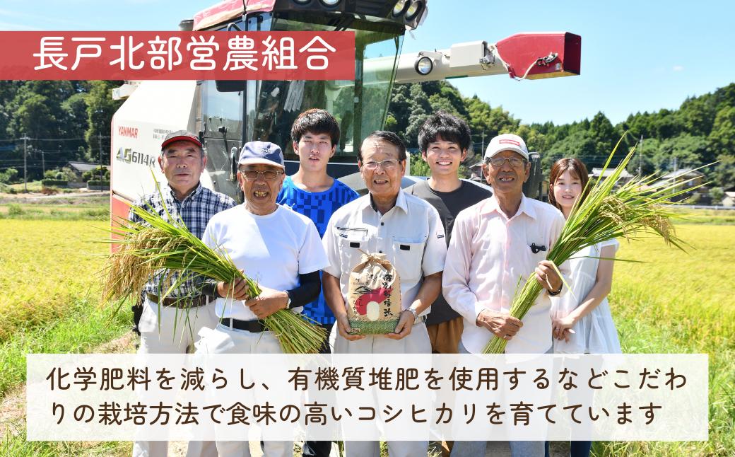 【令和7年度新米】龍ケ崎のコシヒカリ 10kg(5㎏×2袋) ❙ こしひかり お米 米 こめ 白米 精米 新米 冷めてもおいしい 美味しい こだわり いばらきみどり認定 おにぎり 茨城県 龍ケ崎市産