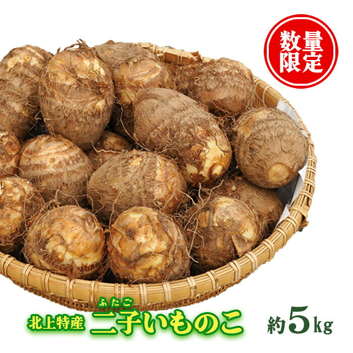 【ふるさと納税】《R8 予約受付/9月下旬〜10月下旬発送予定》里芋 さといも 北上特産 秋の味覚「 二子 さといも 」【数量 限定 ！】北上特産詰め合わせ 約5kg いものこ 里芋 秋 野菜 二子さといも 特産品 徳用 大容量 岩手県 北上市 平留商店 岩手県 北上市 E0062
