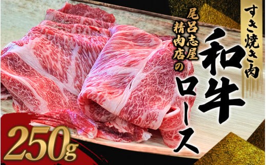 尾呂志屋精肉店の和牛ロース すき焼き用 250g 【1か月以内に順次発送】 /  和牛 すきやき すき焼き 牛肉 牛 精肉 【ors008B】