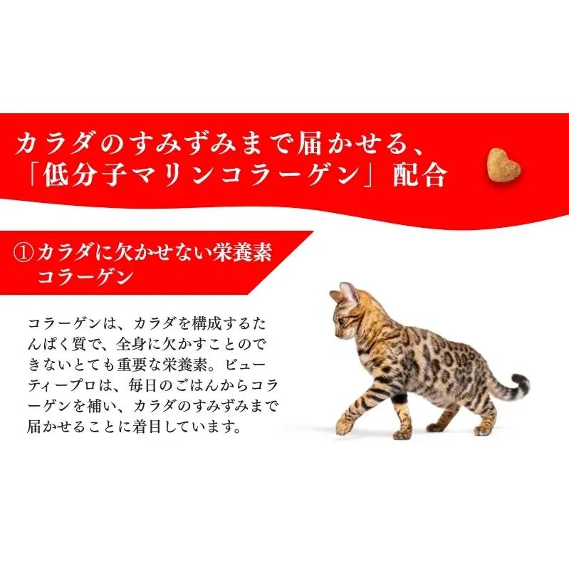 日本ペットフード ビューティープロ キャット 避妊・去勢後用 560g（80g×7袋入）×10袋（ケース） キャットフード