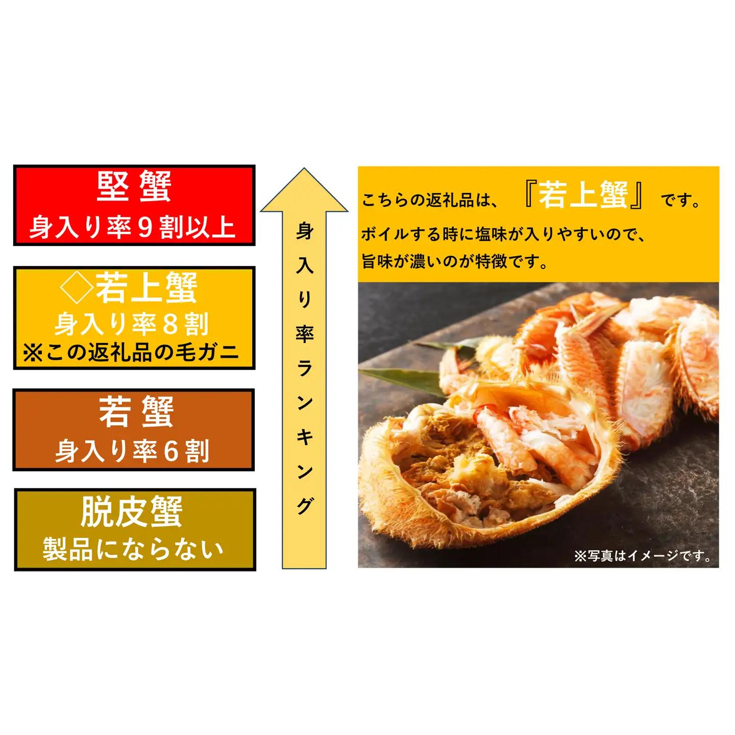 根室海鮮市場＜直送＞ボイル毛がに500～600g×2尾(若上蟹) C-28062