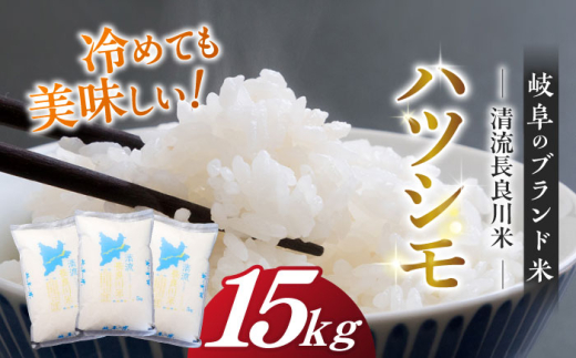 【R7年産】岐阜ハツシモ 15kg 名水100選に選ばれた長良川中流の水で育った「清流長良川米」 ハツシモ はしつも 長良川 清流米 すし飯  冷めても美味しい お米 米 こめ 白米 15kg 15キロ 岐阜市/森ライス [ANCU004]