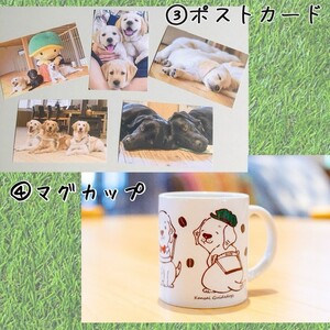 盲導犬 訓練 支援寄附 記念品［陶器のクイール（成犬）・タオル2枚セット・エコバッグ など盲導犬協会オリジナルグッズ］「行きたい場所に安心していける社会に…」補助犬（100,000円）