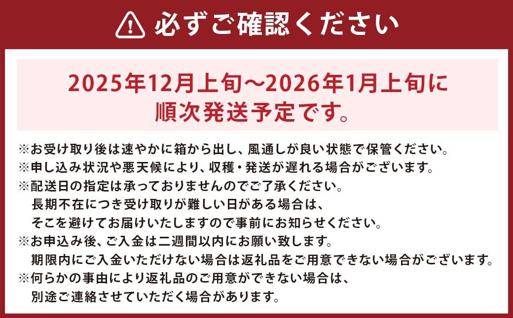 味ロマン みかん 約5kg 糖度12度 【 長崎西彼農業協同組合 】