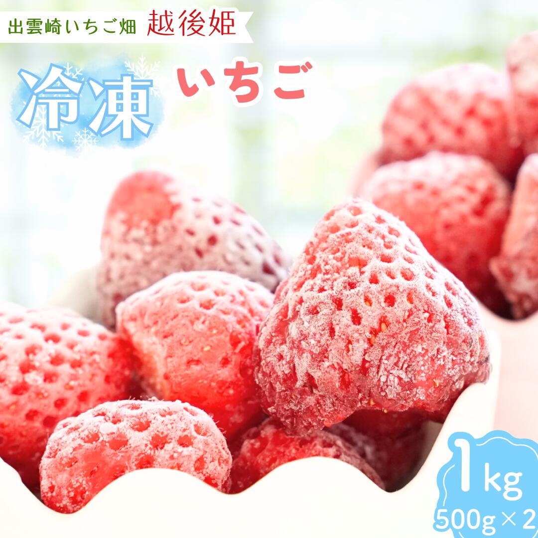 【ふるさと納税】 越後姫 冷凍いちご 1kg（500g×2袋） 苺 イチゴ ストロベリー 国産 減農薬栽培 ブランドいちご 冷凍フルーツ フルーツ 果物 冷凍果物 デザート おやつ 子供 業務用 大容量 新潟県産 出雲崎町 いちご畑