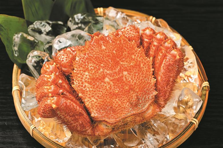 活ゆで毛蟹 2尾で750～800g【冷蔵】毛ガニ 蟹 北海道かに 北海道カニ 国産カニ かに 毛蟹 けがに