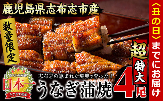【丑の日までに配送】【数量限定】うなぎの大楠＜超特大＞4尾セット計760g以上(190g×4) c3-022-us