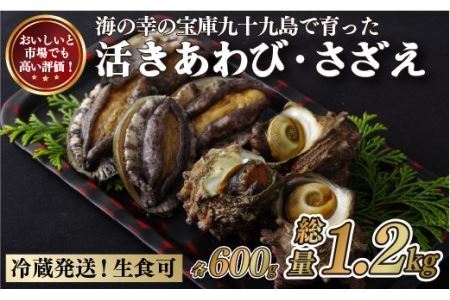 【レビュー★4.9】九十九島  活あわび600g･さざえ600g セット 生食可！【総計1.2kg】【つくも】 あわび 九十九島あわび 活あわび 人気あわび 高評価あわび あわびおすすめ 贈答あわび 定番あわび 自宅用あわび お取り寄せあわび 通販あわび 産地直送あわび 長崎県産あわび 佐世保市産あわび 九十九島産あわび あわびセット あわび詰め合わせ さざえ 九十九島さざえ 活さざえ 人気さざえ 高評価さざえ さざえおすすめ 贈答さざえ 定番さざえ 自宅用さざえ お取り寄せさざえ 通販さざえ 産地直送さざ