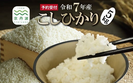 《新米先行予約》 こしひかり 和知のお米 5kg 京都 丹波 京丹波町産 米 コメ コシヒカリ 精米 産地直送 ※北海道・沖縄・その他離島は配送不可 [014MTK001]
