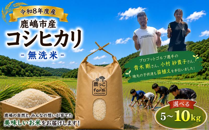 
                  無洗米 こしひかり 5kg 10kg 選べる 先行予約 新米 単一原料米 令和8年度 米 白米 こめ 国産 産地直送 おすすめ お米 kosihikari 5キロ 美味しい ふっくら つややか ご飯 ごはん rice kome okome 甘み 粘り 豊かな香り 地域の想い 自慢 苗植え 田谷沼 鹿っこfarm ふるさと納税 茨城県 鹿嶋市 【2026年10月以降発送】 
                